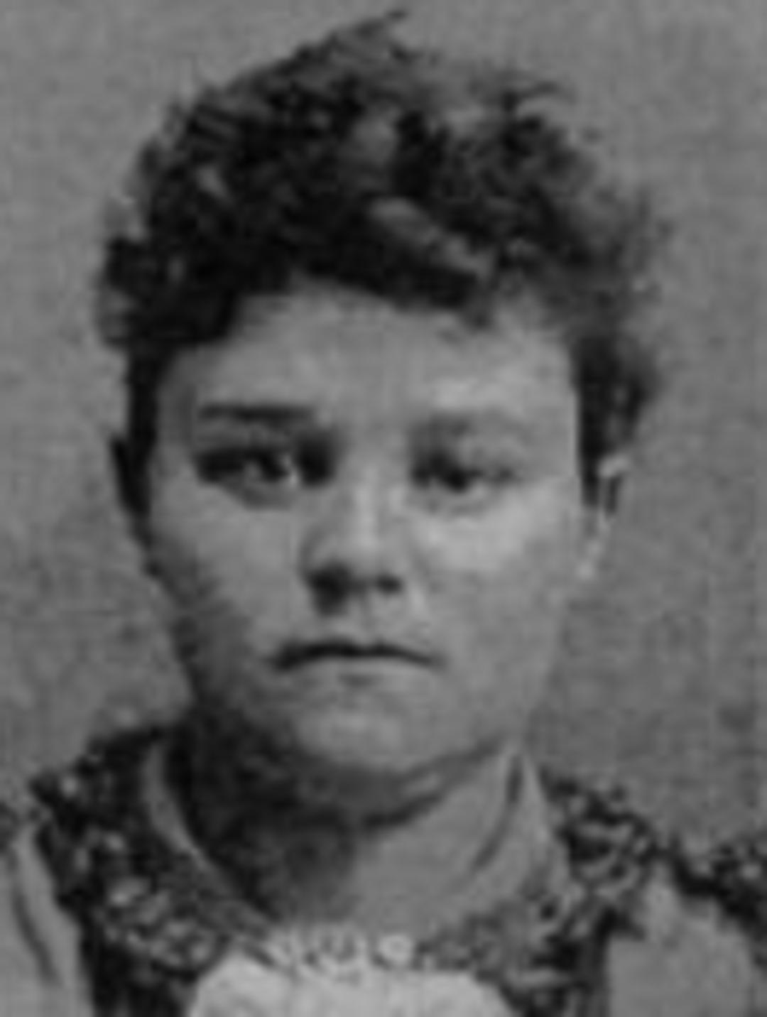 Sariah Pulsipher (1846 - 1872) Profile